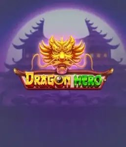 Embark on a legendary quest with the Dragon Hero game by Pragmatic Play, showcasing vivid graphics of mighty dragons and heroic battles. Venture into a land where fantasy meets thrill, with featuring enchanted weapons, mystical creatures, and treasures for a captivating adventure.