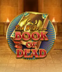 Enter the thrilling world of Book of Dead by Play'n GO, featuring vivid graphics of Rich Wilde’s adventurous journey through ancient Egyptian tombs and artifacts. Uncover lost riches with captivating mechanics like free spins, expanding symbols, and a gamble option. Ideal for those seeking adventure with a desire for unearthing secrets.